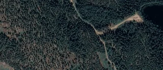 Ny ägare tar över gård i Kisa