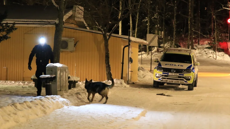 Polisens hundpatrull sökte på platsen efter storbråket. Nu åtalas två unga män. 