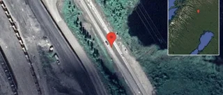 Älg på vägen på E10