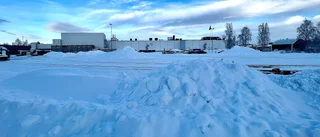 Läsarbilden: Polarbröd har återuppstått