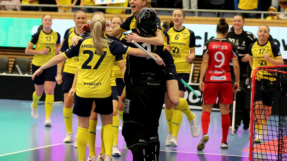 Svenskt jubel efter semifinalen.