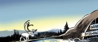 Häpnadsväckande politisk naivitet
