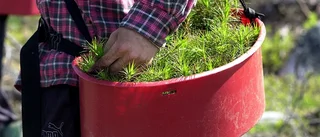 Drygt 1,6 miljoner kronor