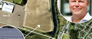 Planerna på en stor solcellspark i Folkesta skrotas – febril jakt på alternativ placering: "Risk för översvämning"