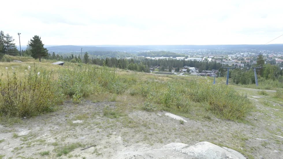 Vy från Vitberget. Arkivbild: Roine Sandlén.
