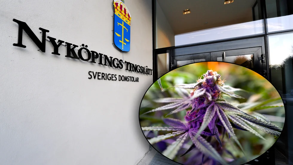 En Nyköpingsbo i 45-årsåldern döms till skyddstillsyn efter att ha odlat cannabis i en "meditationsstuga" på tomten.