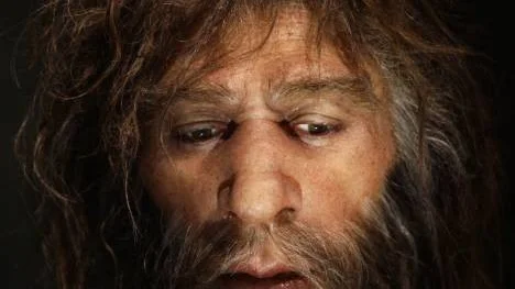 Hyperrealistic face of a neanderthal male is displayed in a cave in the new Neanderthal Museum in the northern Croatian town of Krapina February 25, 2010.  The Neanderthal Museum opened last week and was built on the site where scientists have found the greatest concentration in Europe of Neanderthal remains, the bones, skulls, tools and other effects of an extinct offshoot of mankind who inhabited parts of Asia and Europe until 30,000 years ago. Picture taken February 25, 2010.  To match Reuters Life! NEANDERTHAL-CROATIA/MUSEUM  REUTERS/Nikola Solic (CROATIA - Tags: SOCIETY)