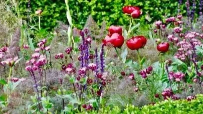 Den årliga blomsterutställningen Chelsea Flower Show i London.
