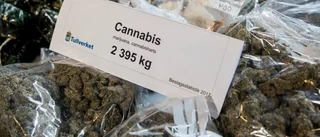 Nio döms i stor knarkhärva