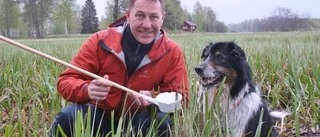 Historiskt myggfattig sommar