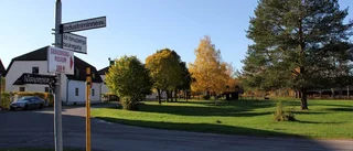 Den biologiska mångfalden hotas