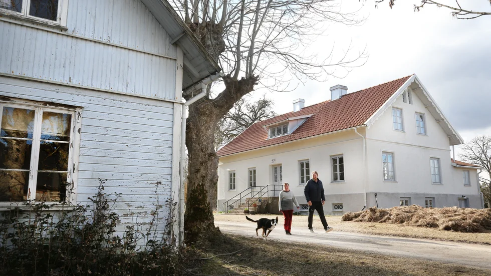 Maria Koch och Johan Svensson spanade på Hammars i Norrlanda i flera år, då ovetande om att deras plats på jorden faktiskt skulle bli till salu. Nu är de fulla av idéer och ser stora möjligheter med både skog och betesmarker.