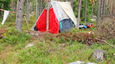 I dagsläget finns 150 bärplockare i skogarna mellan Mehedeby och Tierp, uppger polisen på måndagen. Här vid kalhygget längts gamla E 4 håller de större lägre till. Här har även markägare satt upp lappar för att informera om allemansrätten.   *** Local Caption *** I dagsläget finns 150 bärplockare i skogarna mellan Mehedeby och Tierp, uppger polisen på måndagen. Här vid kalhygget längts gamla E 4 håller de större lägre till. Här har även markägare satt upp lappar för att informera om allemansrätten.
