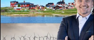 Planen: Här kan Europas största vindkraftverk till havs byggas – bara en mil från naturparadiset
