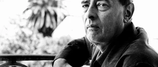 Gombrowicz hemliga dagbok
