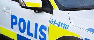 Små barn sågs hoppa på bil