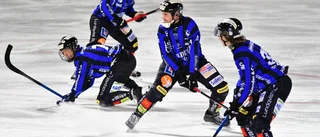 Sirius sköna glädjebesked