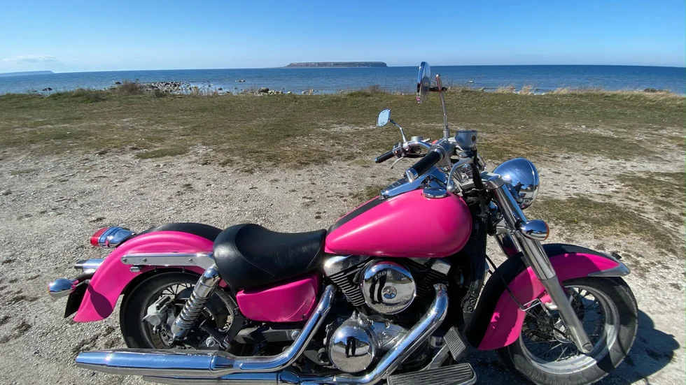 Ägaren av "Pinky", en rosa Kawasaki från 1996, har valt att sälja den till förmån för behövande i Ukraina. I skrivande stund ligger högsta budet på 15 000 kronor. 