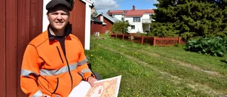 I sommar ska gåtan få sitt svar