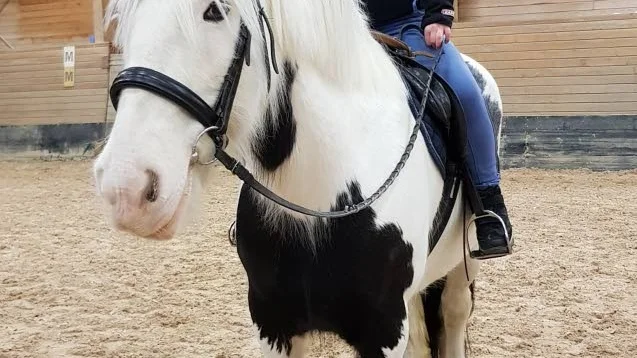 Maria Raattamaa på hästryggen.
