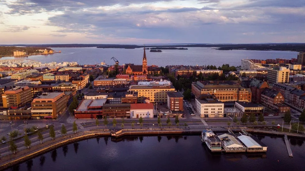 Är verkligen ”att bli fler”, ett vederhäftigt mål? Blandar man inte ihop kvantitet och kvalitet här?, skriver insändarskribenten. 