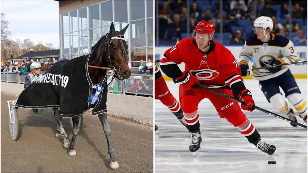 Hemmahästen Makethemark är en av favoriterna i Norrbottens Stor Pris. NHL-proffset Lucas Wallmark är en av många som ska följa tävlingen på plats.