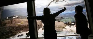 Succéår för Biotopia