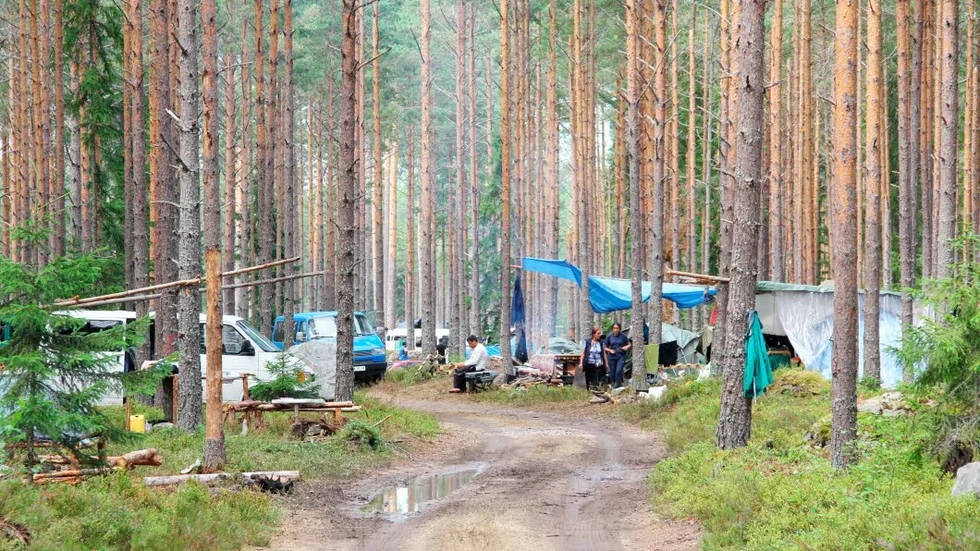 Bärplockarläger mellan Mehedeby och Tierp under sommaren 2013.-