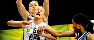 Stjärna till Sallén