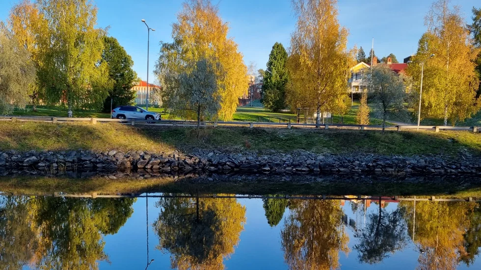 Dagens läsarbild.