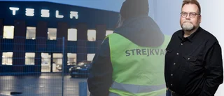 "Tesslas utmanar den svenska modellen" 