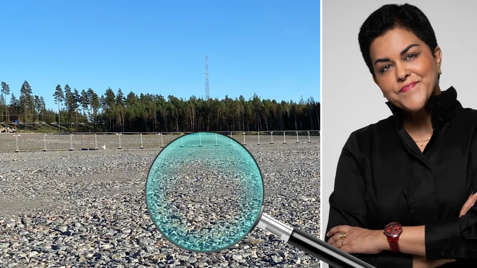 Parul Sharma på Institutet mot mutor rekommenderar kommunens egna jurister att börja titta på det specifika ärendet.
