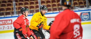 Niklas Olausson i träning med Luleå Hockey: "Magiskt kul"