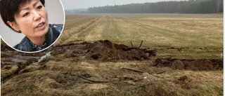 Kommunen vill bygga fiber – fick inte en krona 