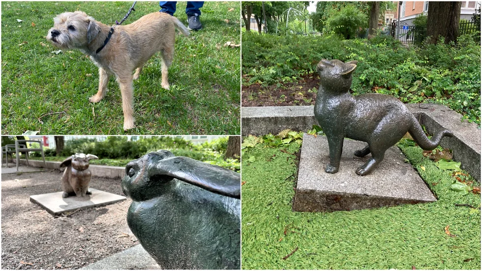 Bronskatten rubbad ur sitt läge. Dessutom har den och andra skulpturer i Frodeparken blivit utsatta för ovälkomna duschar av hundkiss.