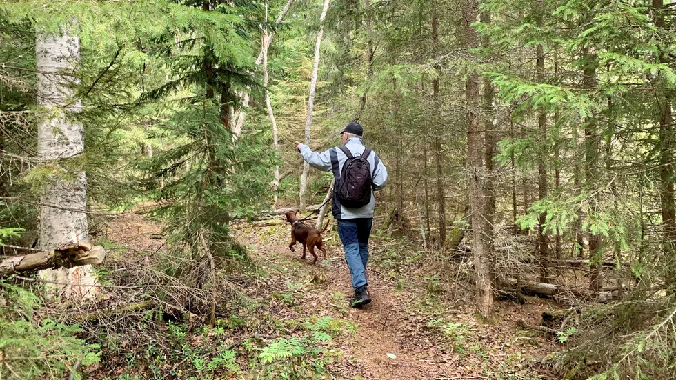 Vandring på Gläntjättens stig ute vid Sandängesstranden.