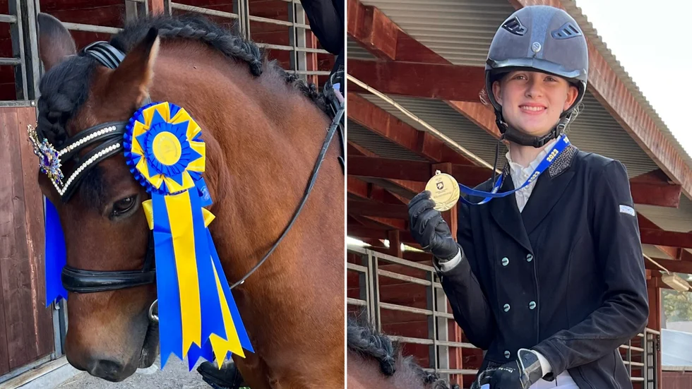 Emmelina Folkung och ponnyn Rolex tog guld i Junior-SM i working equitation - mot alla odds. En hovbensfraktur och en 26 centimeter stor tromb i halsen höll på att kosta Rolex livet.