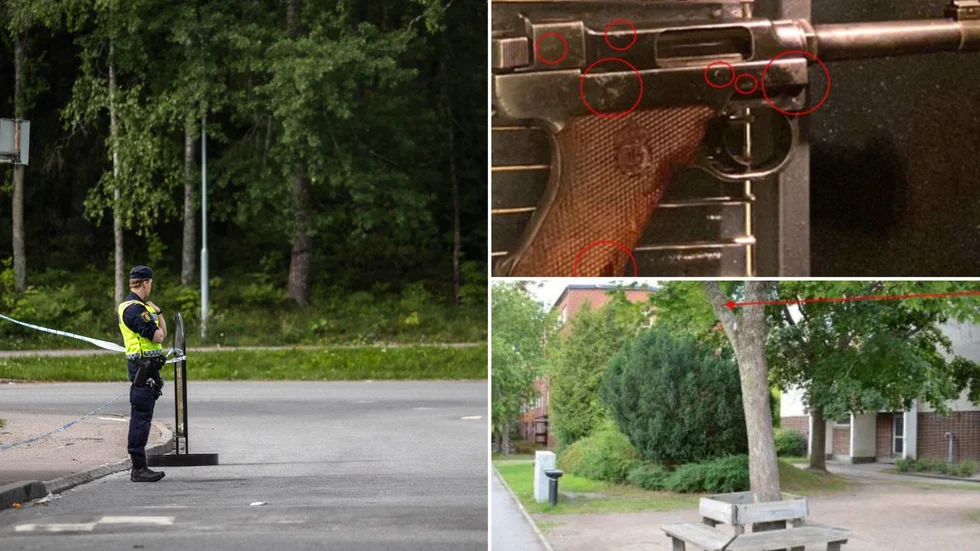 Ett vapen som figurerat i utredningen och ett träd som ska ha skottskadats i Gottsunda den 25 juli.