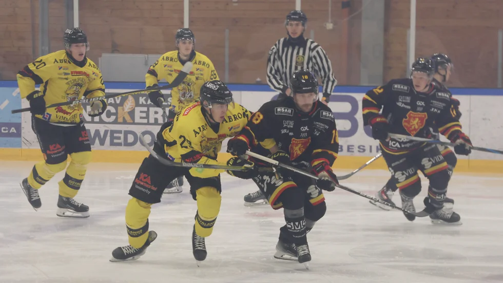 Vimmerby Hockey mötte Alvesta borta.
