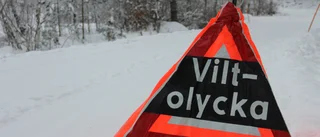 Viltolycka – ingen person skadad och trafiken flyter på igen