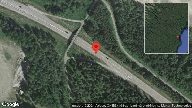 Älg på fel sida viltstängslet på väg 372