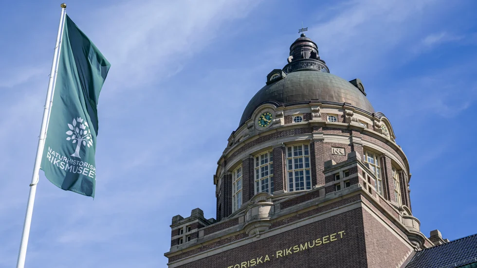 Naturhistoriska riksmuseet i Stockholm kompenseras för inkomstbortfall. Arkivbild.
