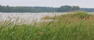 Folkflertalet vill värna vårt strandskydd