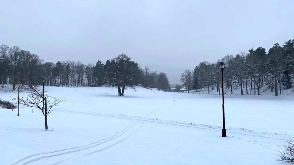 Det var i anslutning till Vibjörnsparken som tonåringarna rånades på sina kläder.