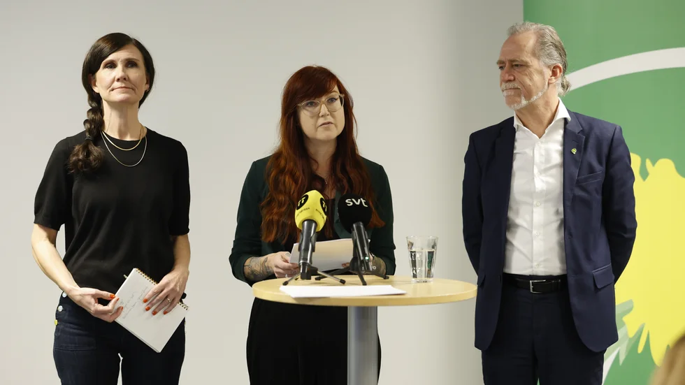 Vägval. Vad ska Miljöpartiet vara för ett parti?