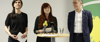 Miljöpartiet har målat in sig i ett hörn 