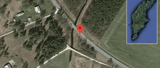 Varning för hästar på vägen på väg 141