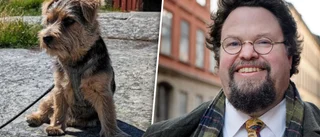Valpen Harriet upptäcker Roslagen – med matprofilen Edward Blom