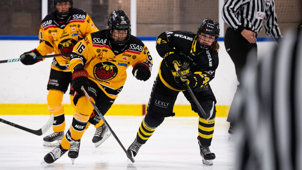 Petra Nieminen.