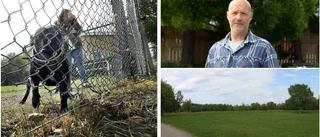 Hundrastgård riskerar att försenas – oklart om pengarna räcker 